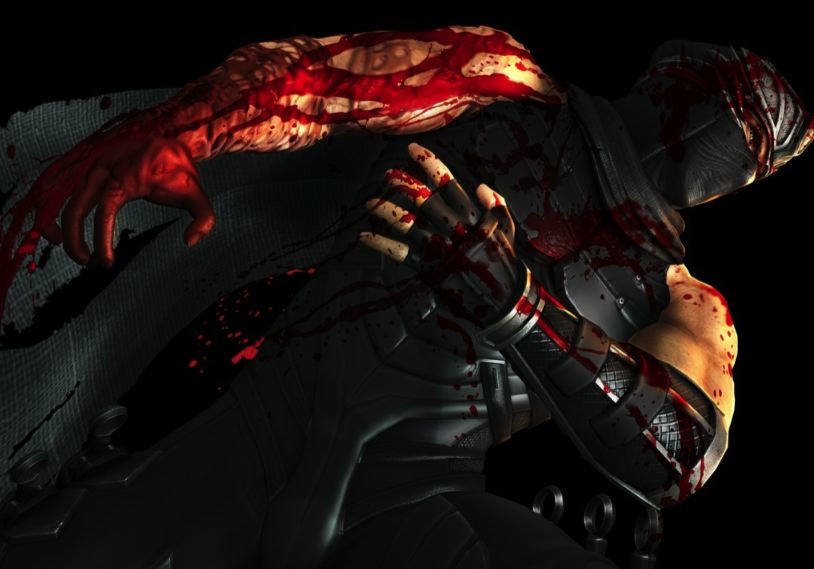 ninjagaiden3
